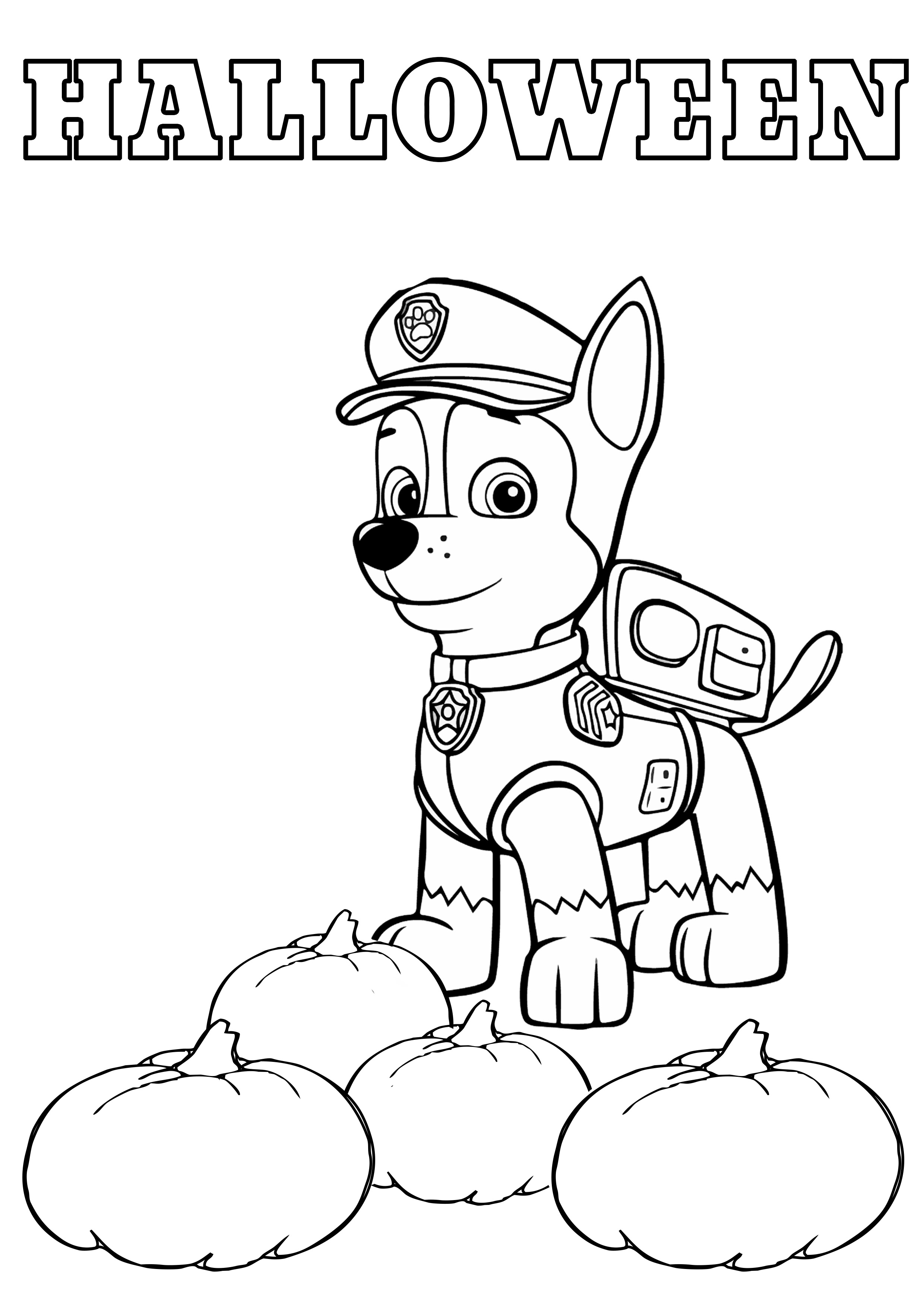 Kolorowanka online: Kolorowanka Chase pilnujący dyni